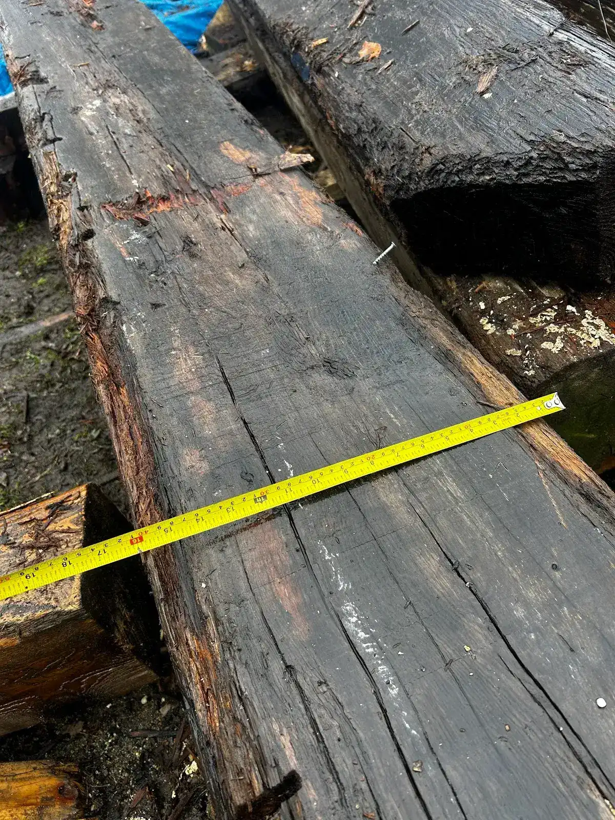 Reclaimed heart pine beam measured with a yellow tape measure