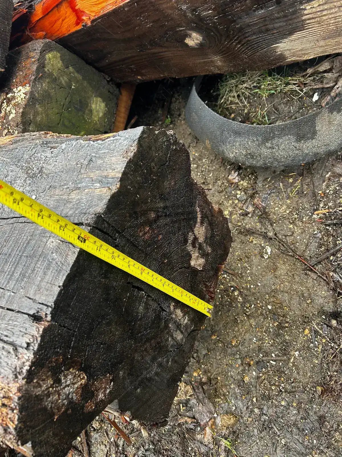 Weathered heart pine beam end being measured with a yellow tape measure