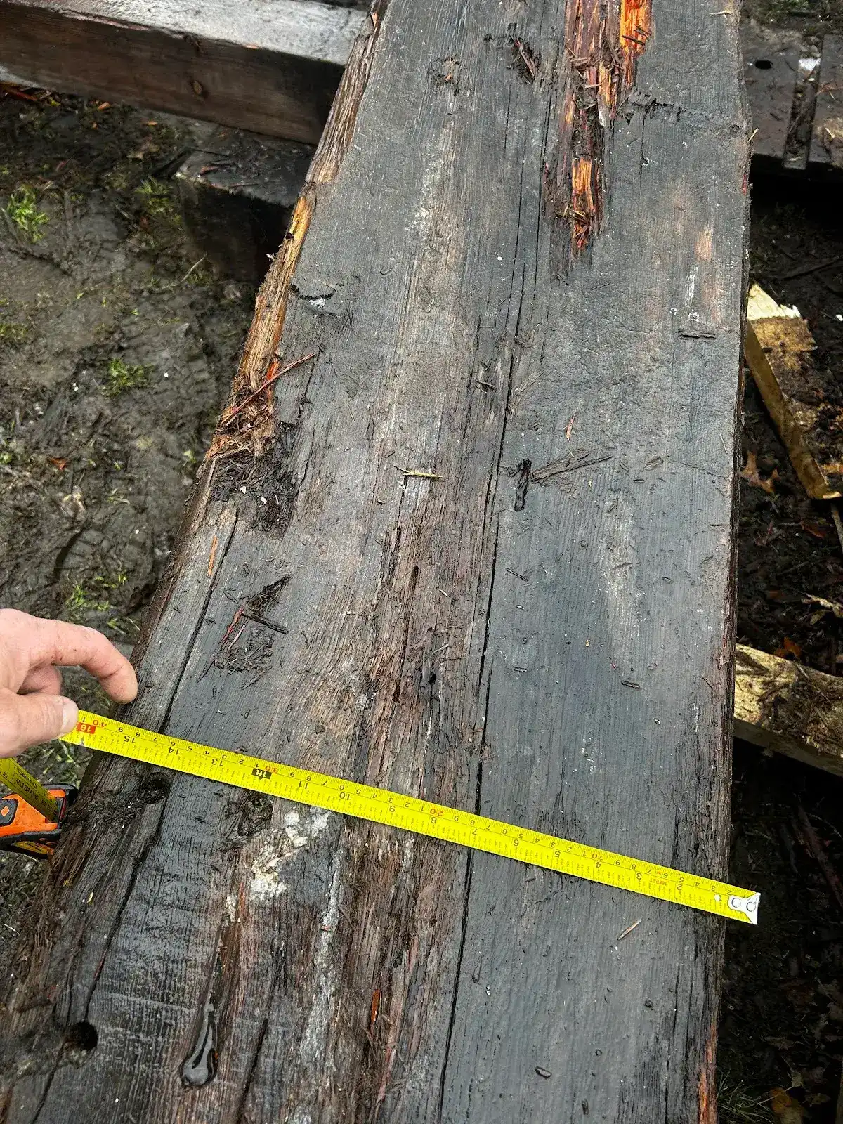 Long weathered heart pine beam measured outdoors